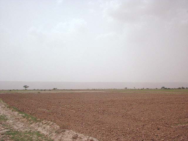 View towards west of confluence