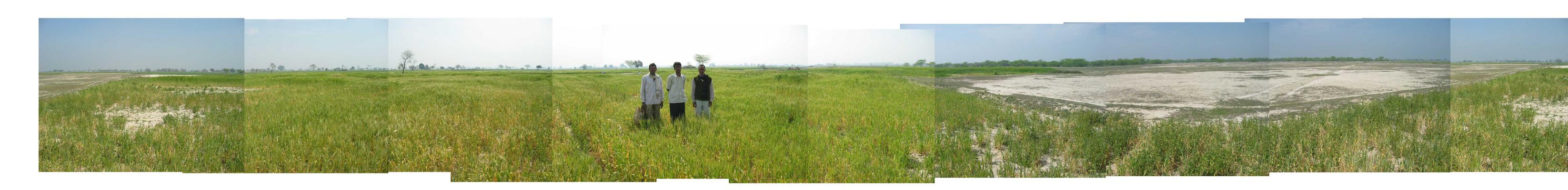 Panoramic view from the confluence