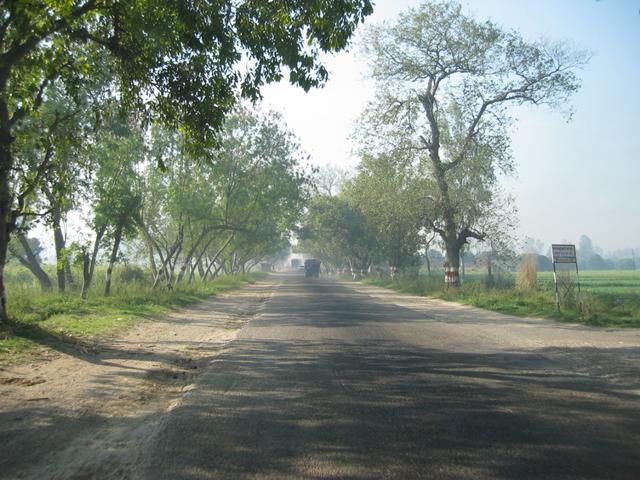 The road from Hapur to Aligarh -- tree-lined boulevard of potholes
