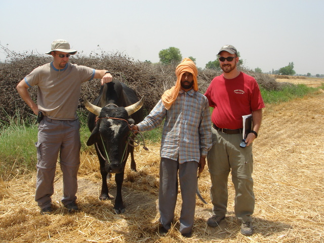 Doug and Sam pose with a wheat farmer and his horse, within 100m of the confluence