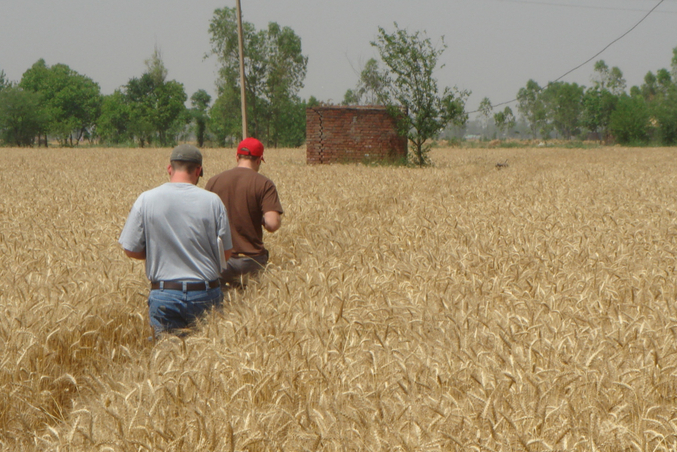 Doug and Sam walking through the wheat