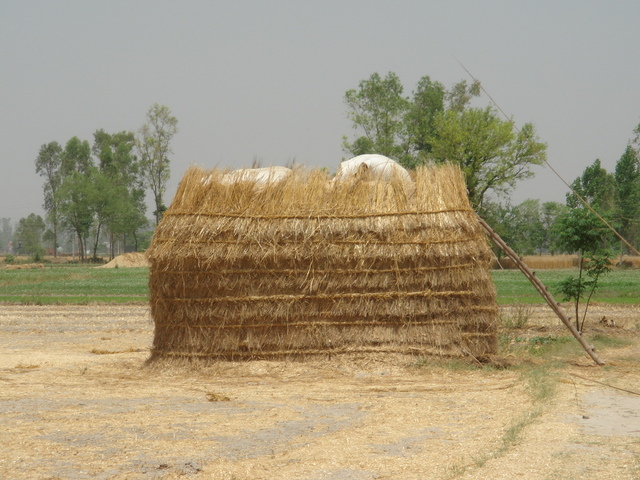 Haystack in the field near the CP