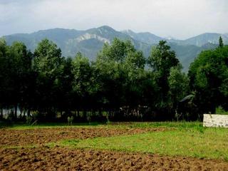 #1: The Himalayan Mountains as seen from the CP