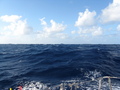 #4: Looking south, water, water, water! About 800 nm to mouth of Amazonas, Brasil