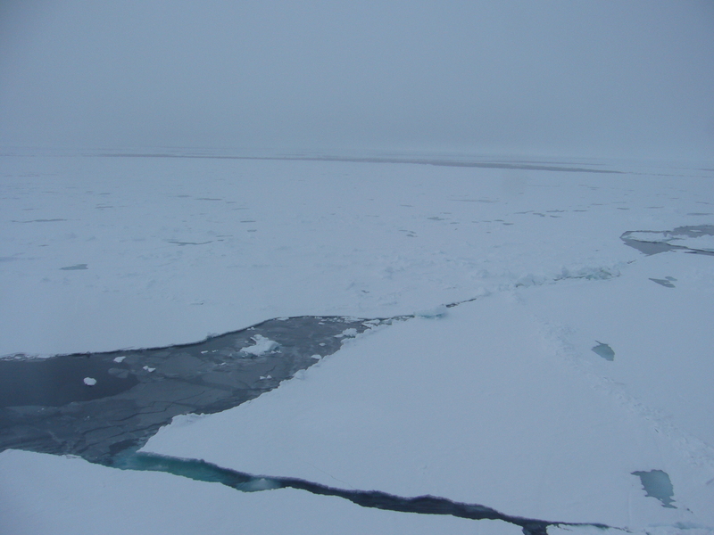 View east (starbord side of the ship)