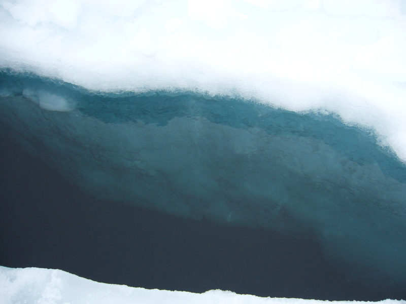 Ground cover: ice and water
