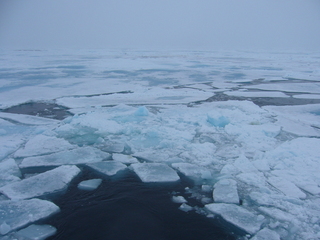 #1: North Pole 10 m ahead after the Confluence Break Dance