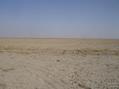 #3: Looking east from the confluence point. The small dark spot on the horizon, just right of center is the Ziggurat Pyramid