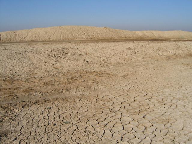 Looking West from the Confluence