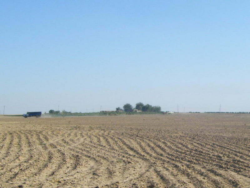 General area - Crop field surrounded by small farms. Confluence Point approx. 50m ahead to the right of the picture.