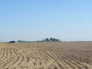 #1: General area - Crop field surrounded by small farms. Confluence Point approx. 50m ahead to the right of the picture.