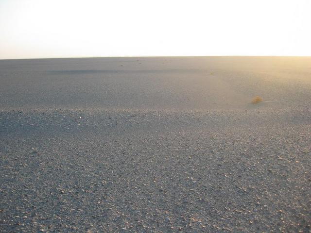 View to the East