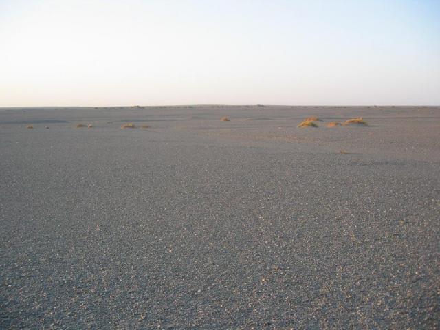 View to the South