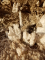 #10: Salt crystals