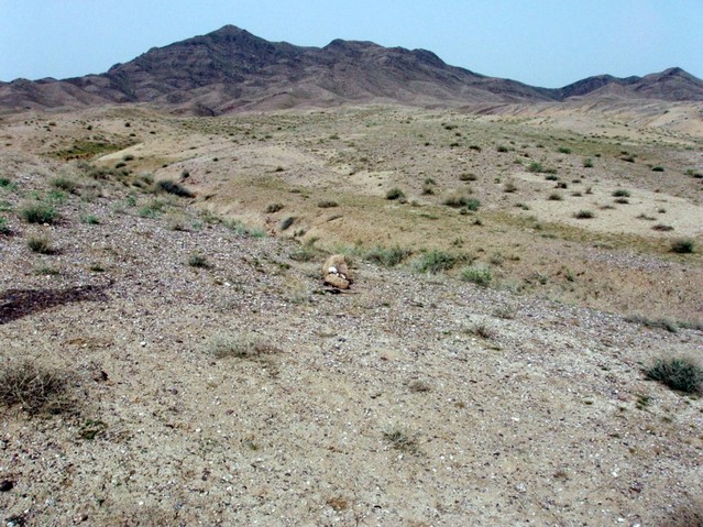 Close view of the point