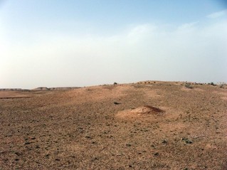 #1: North view with the ant hill on the point
