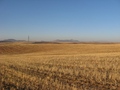 #5: View west