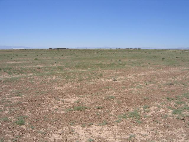 Looking north from the point