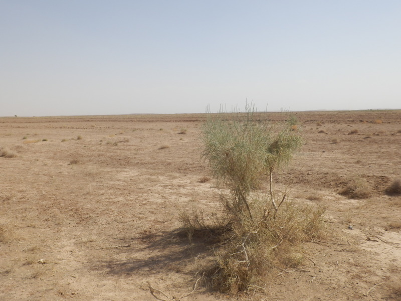 The Confluence from 15 m distance