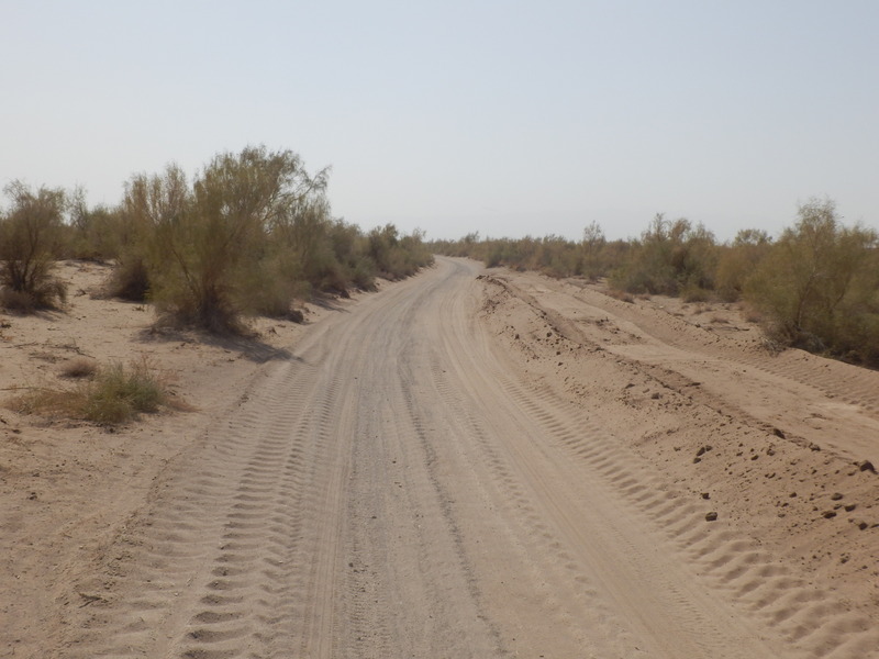 Sandy track to the Confluence