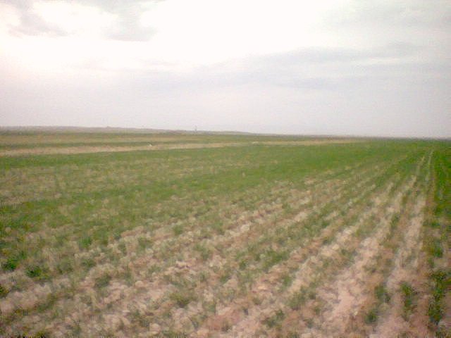 North