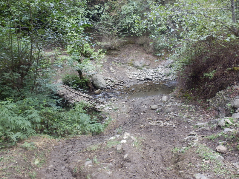 Muddy track that I followed at the beginning of the hike