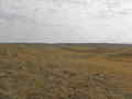 #2: East