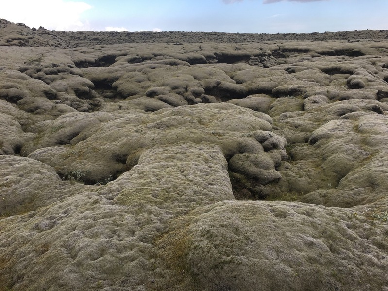 Thick layers of moss on lava