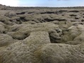 #10: Thick layers of moss on lava