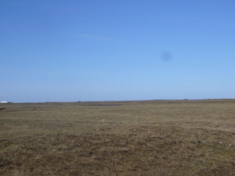 Nord