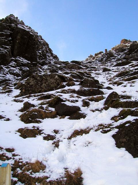 Looking up the gully