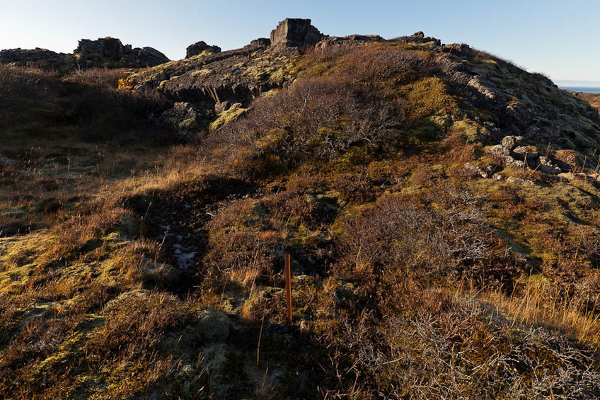 View west towards local lava hill