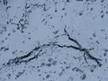 #8: Aerial photo of snow covered lava fissures (7 Dec 2011)