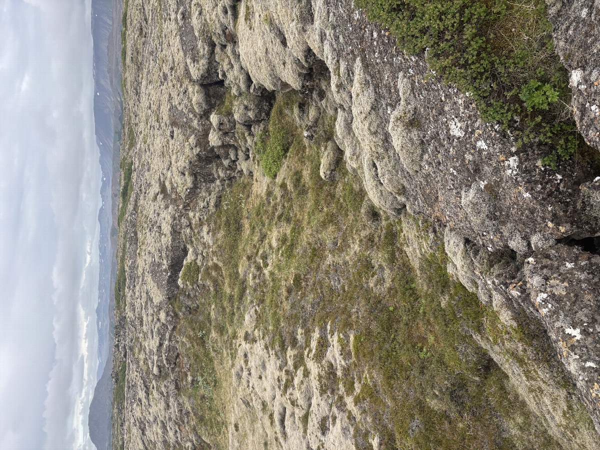 Lava Terrain