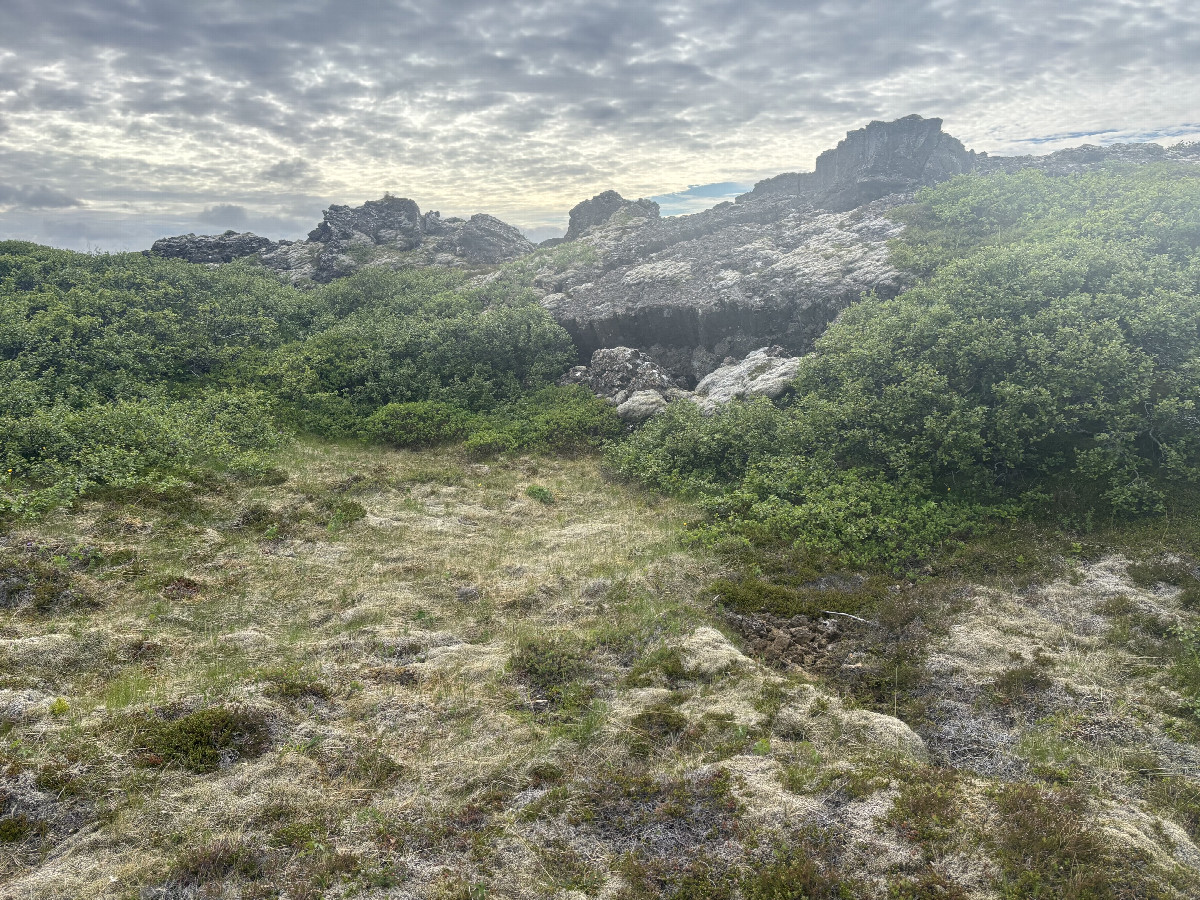 Looking West