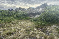 64°N 22°W preview image