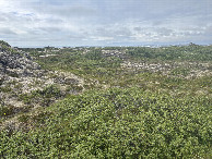 #2: Looking North