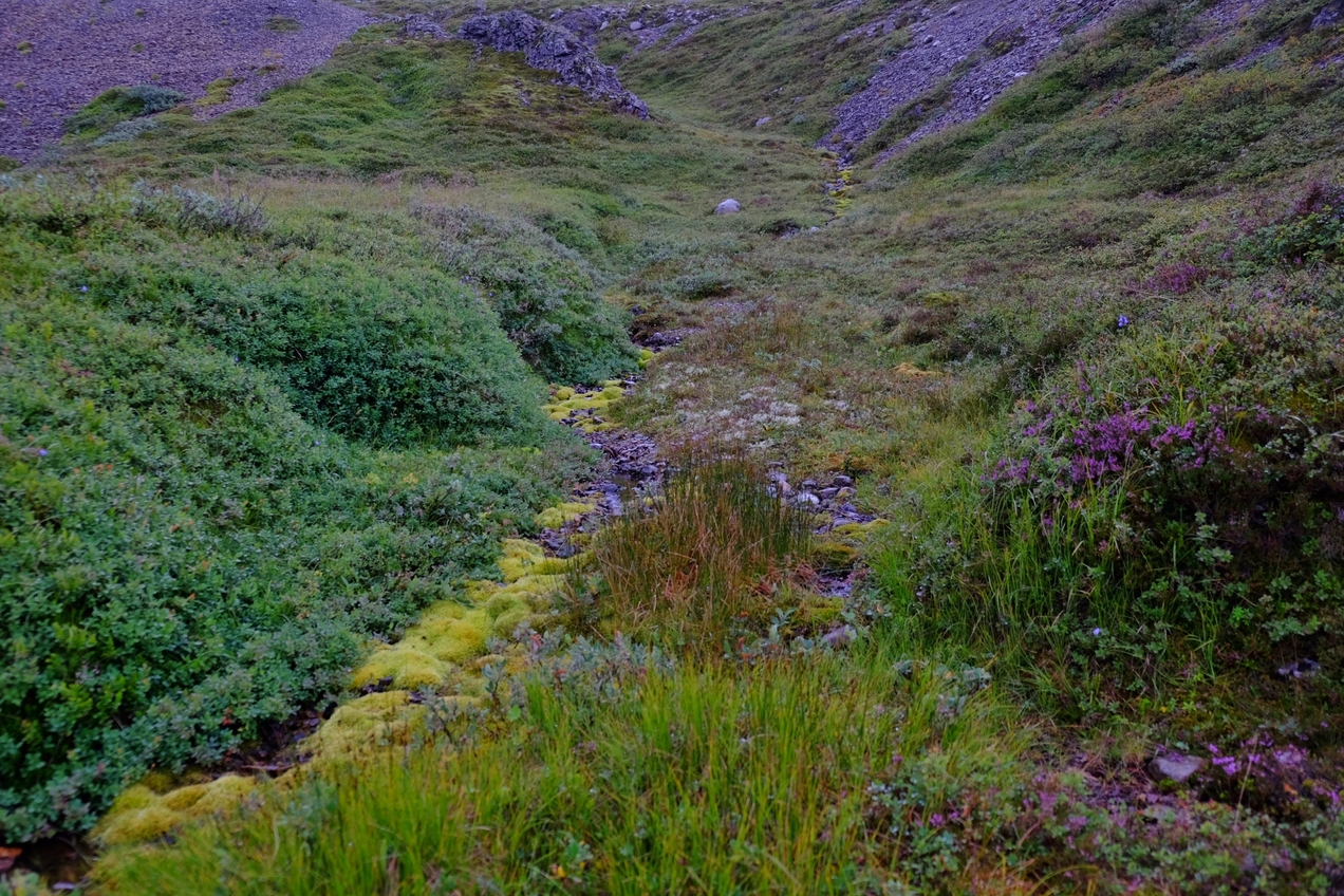 Terrain around the CP