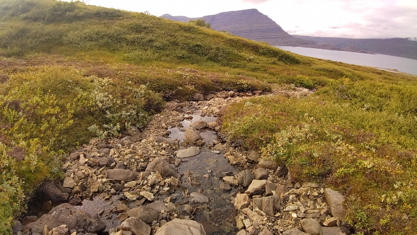 creek at the confluence area