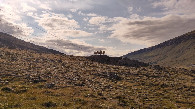 #8: sheep on the way up