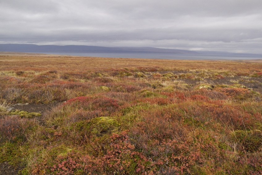 Looking north from the confluence. The fjord is visible in the distance. 