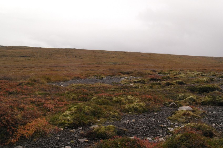 Looking south from the confluence.