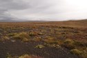 #2: Looking east from the confluence.