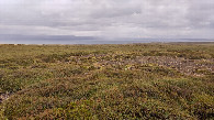 #2: view to the north