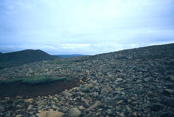 southward view