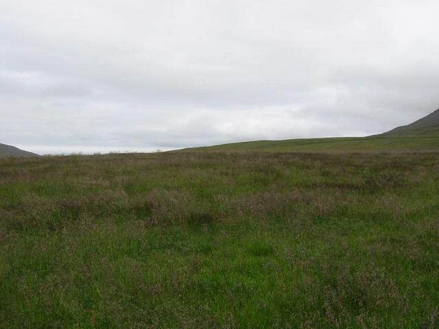 West from the confluence