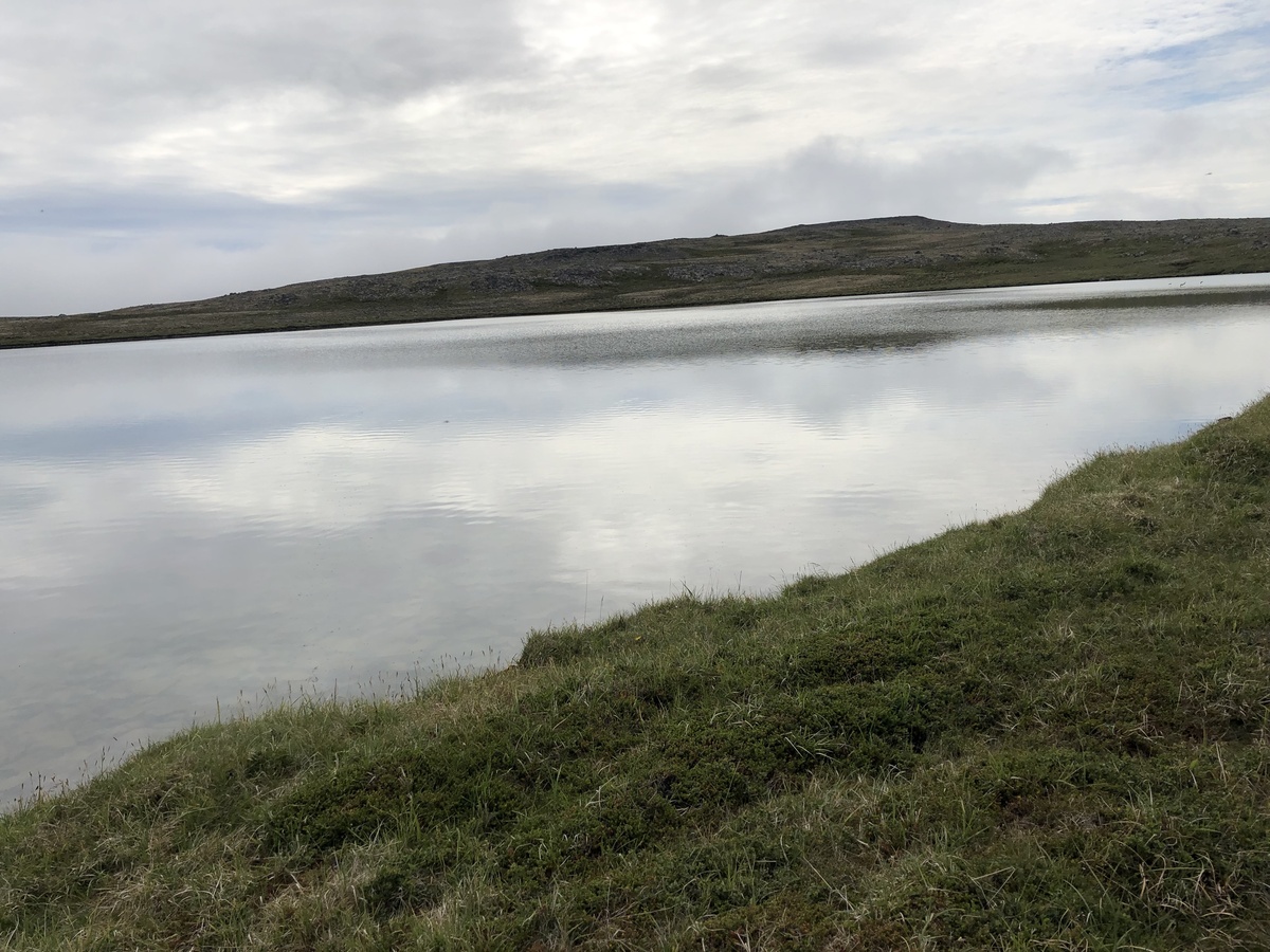 The Confluence from 50 m Distance