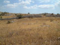 #7: View to the North