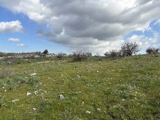 #1: General view of the CP