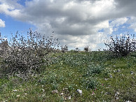 #3: View to the East